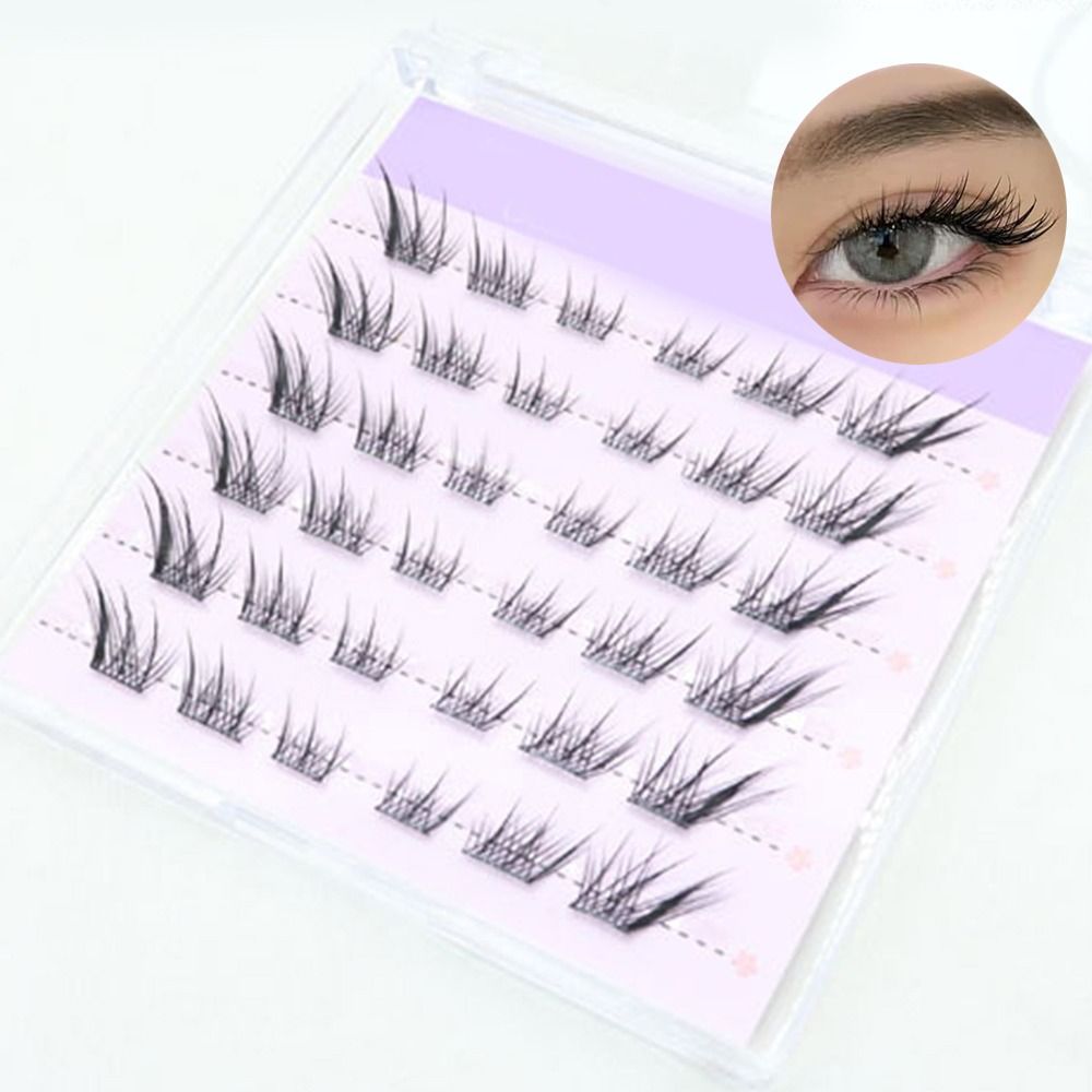 Eyelash Extension Cat Eye - Nouveau 3D oeil de chat cils
