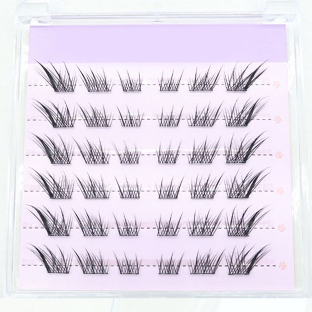 Nouveau 3D oeil de chat cils a - Eyelash Extension Cat Eye avis et prix