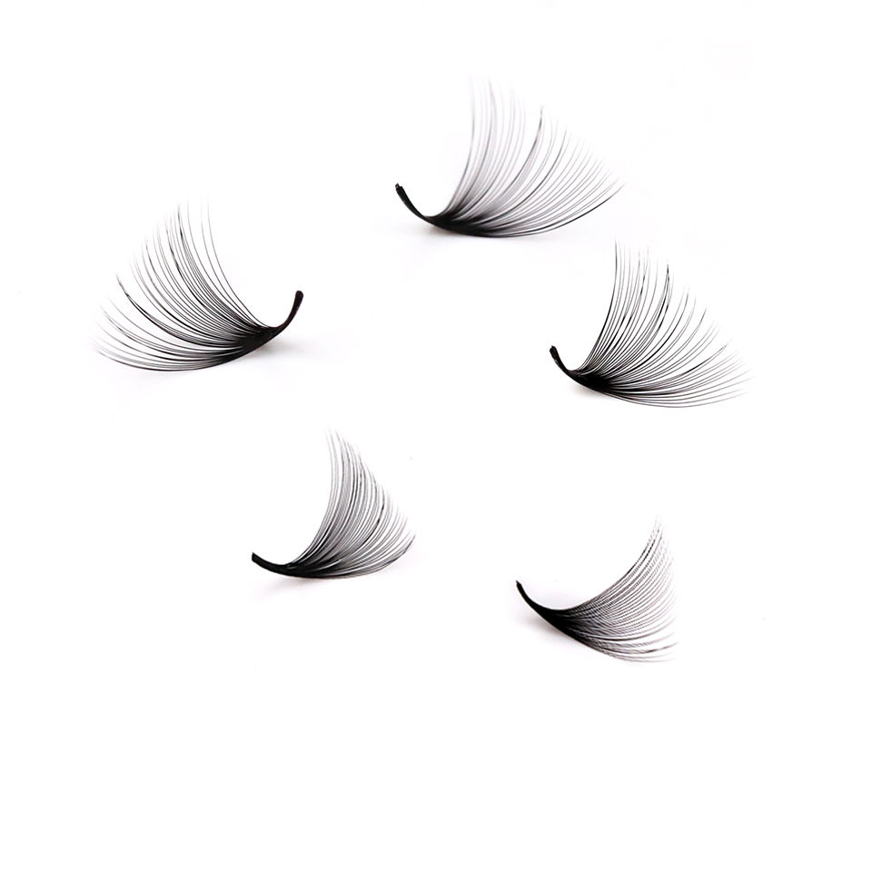 Lashprofessor XL Tray 3D 4D 5D - Eyelash Extension Russian Volume avis et prix