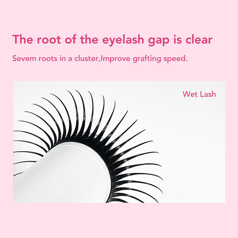 DIYDAY 5D fée Extension de cil - Eyelash Extension Wet Look avis et prix